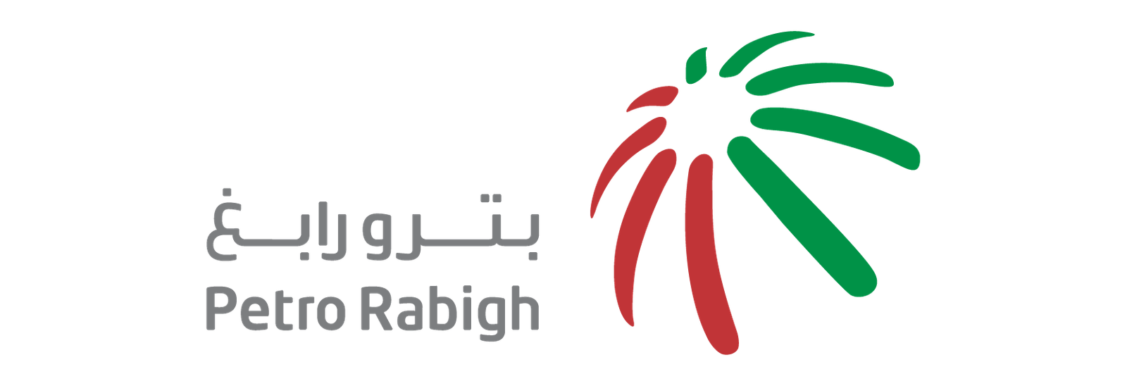 Washnah partner logo