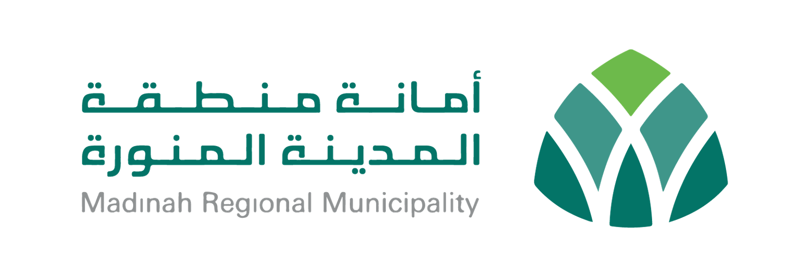 Washnah partner logo