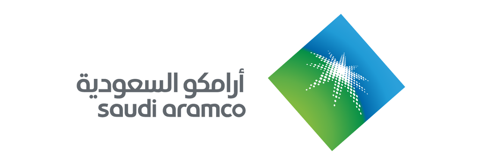Washnah partner logo