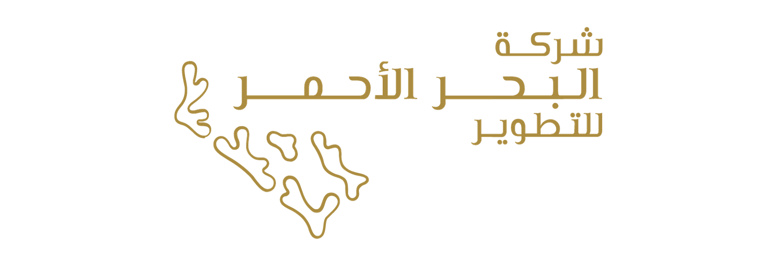 Washnah partner logo