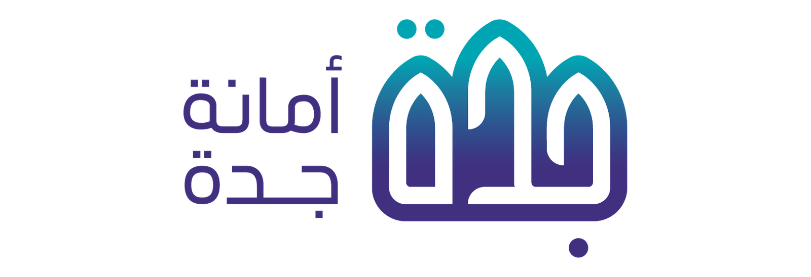 Washnah partner logo